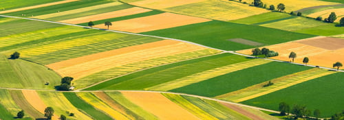 Foreign Investors in US Farmland Face Sweeping New Disclosure Rules | Norton Rose Fulbright