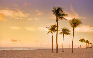 Norton Rose Fulbright | Hawaii