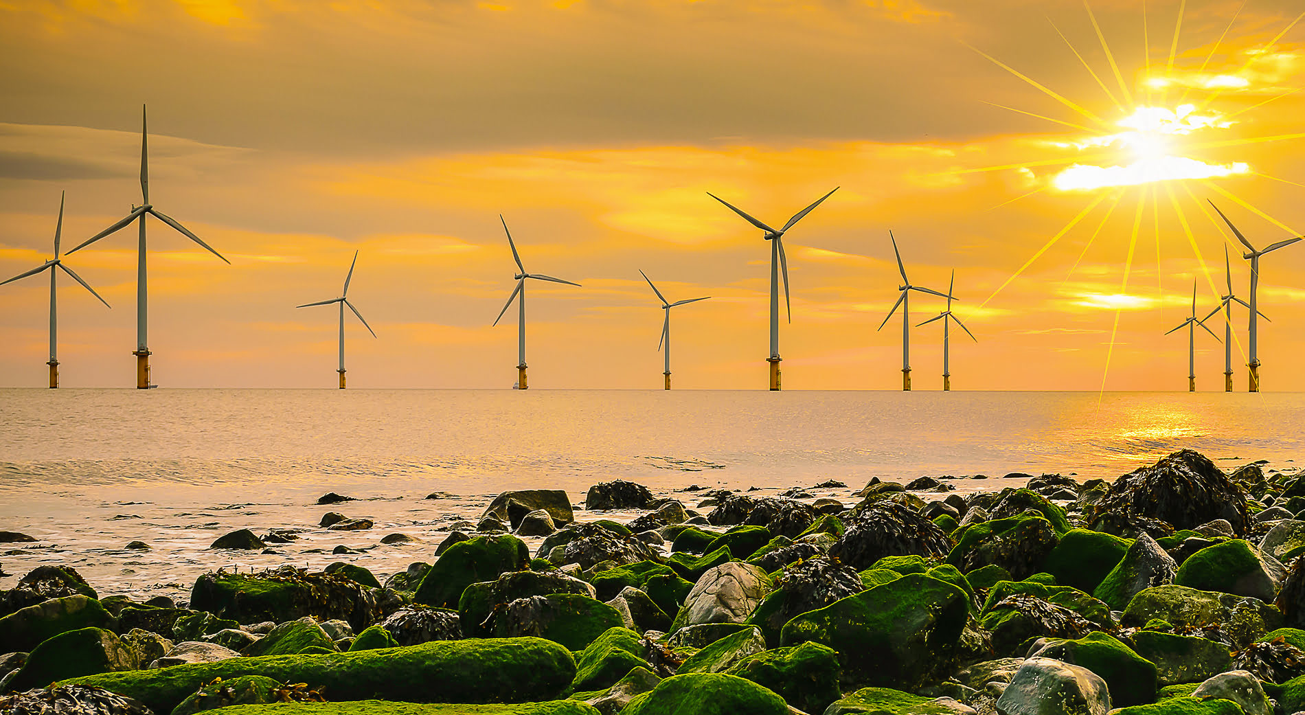 Wind market roundtable