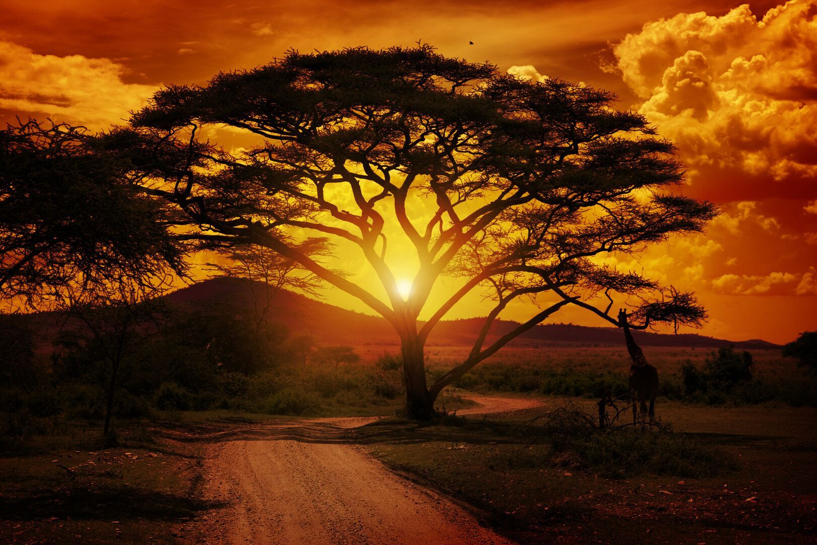 Norton Rose Fulbright | Kenya