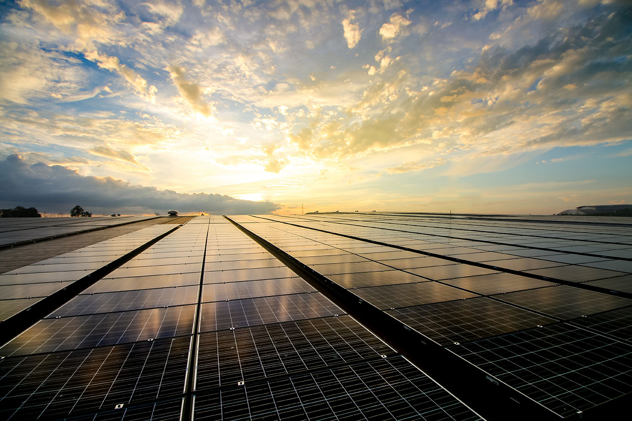 Solar panel import duties: Construction and procurement